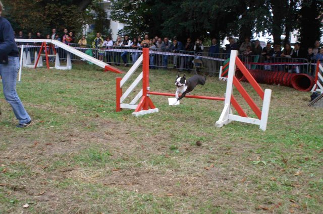 foire-haricots 2011-09-17et18
